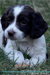 English Springer Spaniel Affirmations Workbook English Springer Spaniel Presents: Positive and Loving Affirmations Workbook. Includes: Mentoring Questions, Guidance, Supporting You.