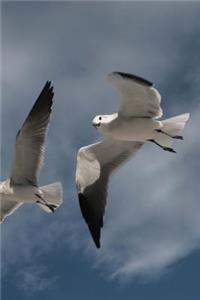 White Dove in Flight Journal