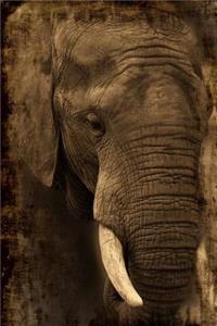 African Elephant Portrait Journal