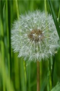 A Dandelion Wish Journal