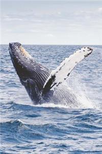 A Whale Breaching Out of the Water Journal
