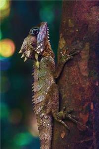 Tree Lizard Notebook