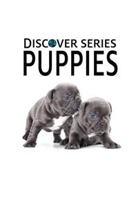 Puppies