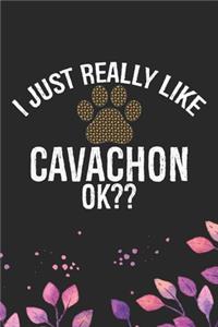 I Just Really Like Cavachon Ok?