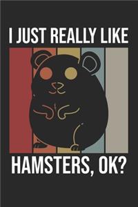 I Just Really Like Hamsters, OK?