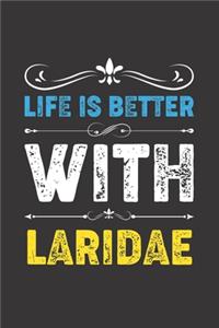 Life Is Better With Laridae