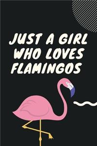 Loves Flamingos