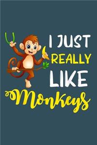 I just really like monkeys
