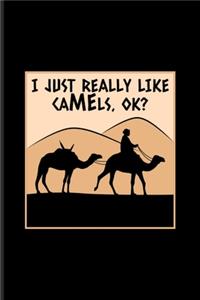 I Just Really Like Camels Ok