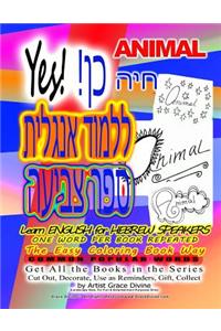 Yes! ANIMAL Learn ENGLISH for HEBREW SPEAKERS ONE WORD PER BOOK REPEATED 20x The Easy Coloring Book Way