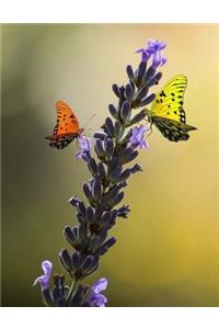 Nature Notebook Large Size 8.5 x 11 Ruled 150 Pages Softcover