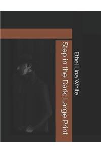 Step in the Dark: Large Print