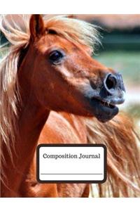 Composition Journal (Shetland Pony)