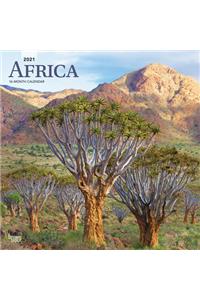 Africa 2021 Square