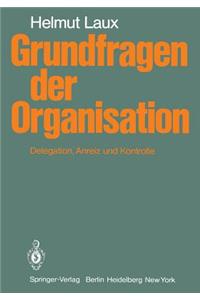 Grundfragen Der Organisation: Delegation, Anreiz Und Kontrolle