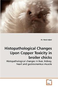 Histopathological Changes Upon Copper Toxicity in broiler chicks