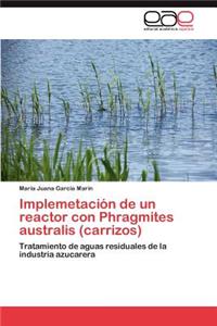 Implemetación de un reactor con Phragmites australis (carrizos)