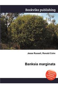 Banksia Marginata