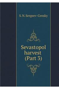 Sebastopol Harvest (Part 3)