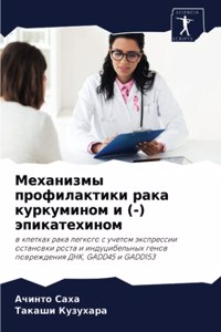 Механизмы профилактики рака куркумином и