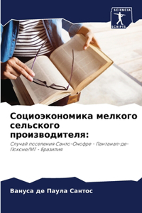 Социоэкономика мелкого сельского произ