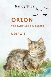 Orión y la pandilla del barrio