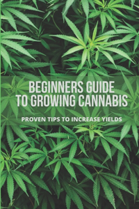 Beginners Guide To Growing Cannabis