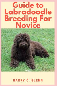 Guide to Labradoodle Breeding For Novice