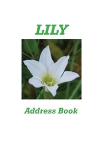 Lily Address Book