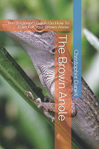 Brown Anole: The Beginners Guide On How To Care For Your Brown Anole