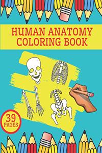 Human Anatomy Coloring Book