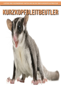 Kurzkopfgleitbeutler - Lustige und faszinierende Fakten und Bilder über Kurzkopfgleitbeutler