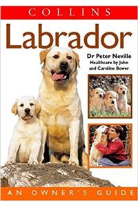 Collins Dog Owner's Guide - Labrador