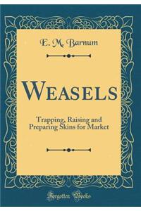 Weasels: Trapping, Raising and Preparing Skins for Market (Classic Reprint)