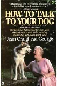 How to Talk to Your Dog