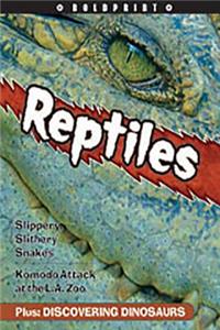Steck-Vaughn Boldprint Anthologies