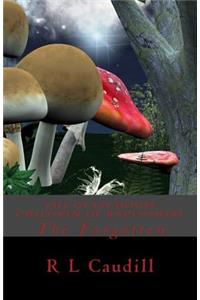 The Glass House Children of Ravenshire