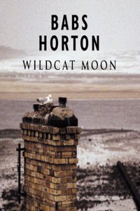 Wildcat Moon