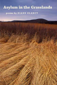 Asylum in the Grasslands