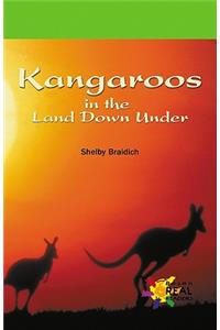 Kangaroos in the Land Down Und