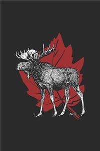 Canadian - Moose