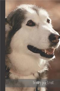 Husky Portrait