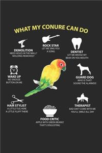What my Conure can do