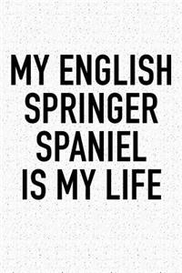 My English Springer Spaniel Is My Life