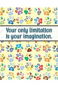 Your Only Limitation Is Your Imagination.