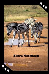 Zebra Notebook