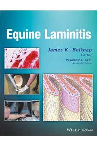 Equine Laminitis