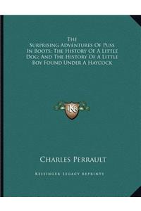 The Surprising Adventures Of Puss In Boots; The History Of A Little Dog; And The History Of A Little Boy Found Under A Haycock