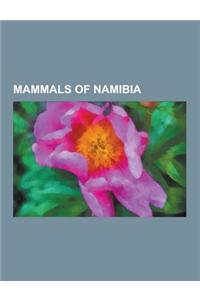Mammals of Namibia: African Buffalo, African Bush Elephant, Banded Mongoose, Bat-Eared Fox, Black-Footed Cat, Blue Duiker, Brown Fur Seal,
