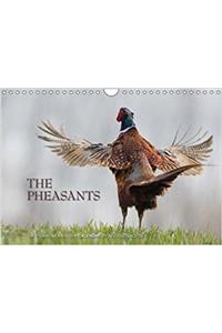 Emotional Moments: the Pheasants. UK-Version 2018
